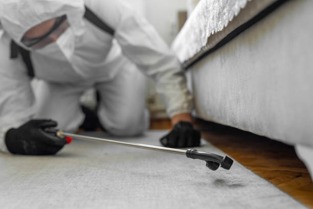 Professional Termite Control technician working in Gambrills, MD