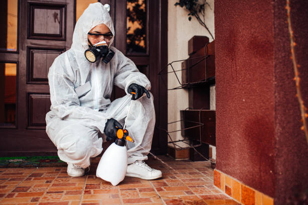 Reliable Termite Control contractor in Gambrills, MD by Nex Pest Control